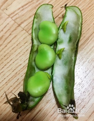 蚕豆怎么炸又酥又脆又好吃