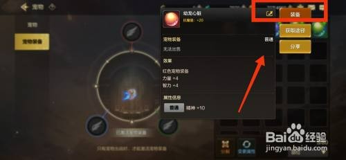 DNF手游给宠物装备怎么操作