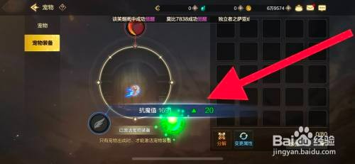 DNF手游宠物装备如何穿戴