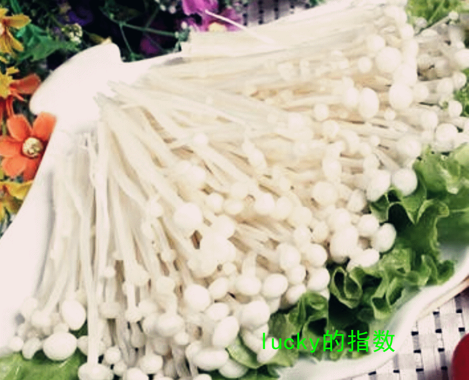 菌类养生的简介