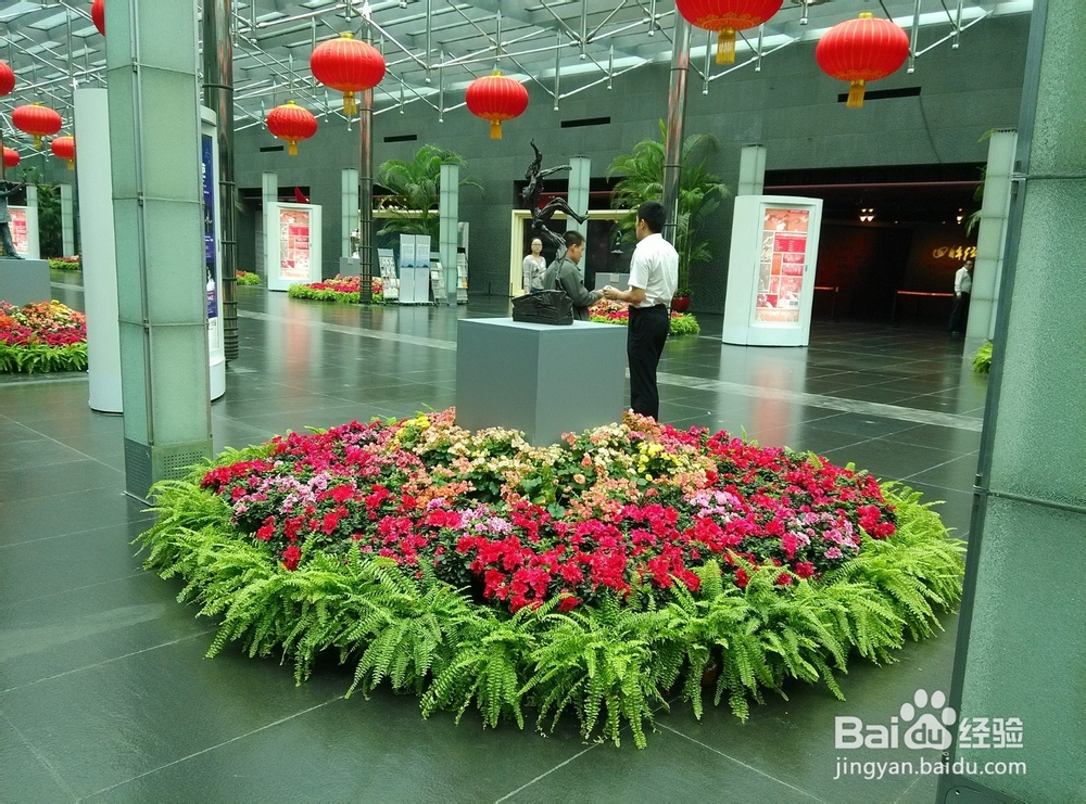 北京游玩：[3]国家大剧院