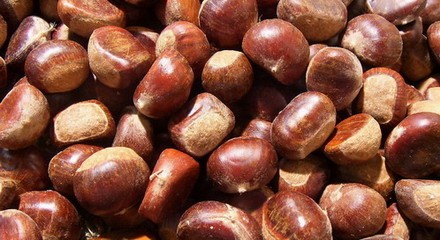 怎样拨板栗皮好拨