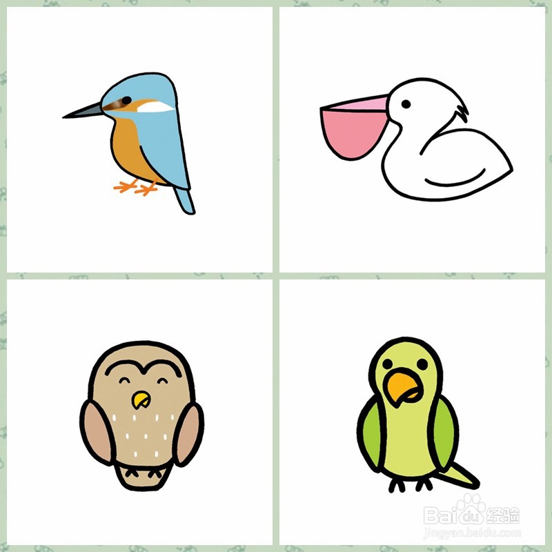 【简笔画】昆虫、鸟类、鱼类的画法