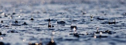 蚂蚁庄园10月27日一场秋雨一场寒有科学依据吗