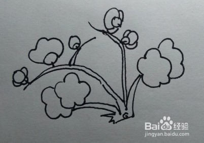 简笔画：梅花