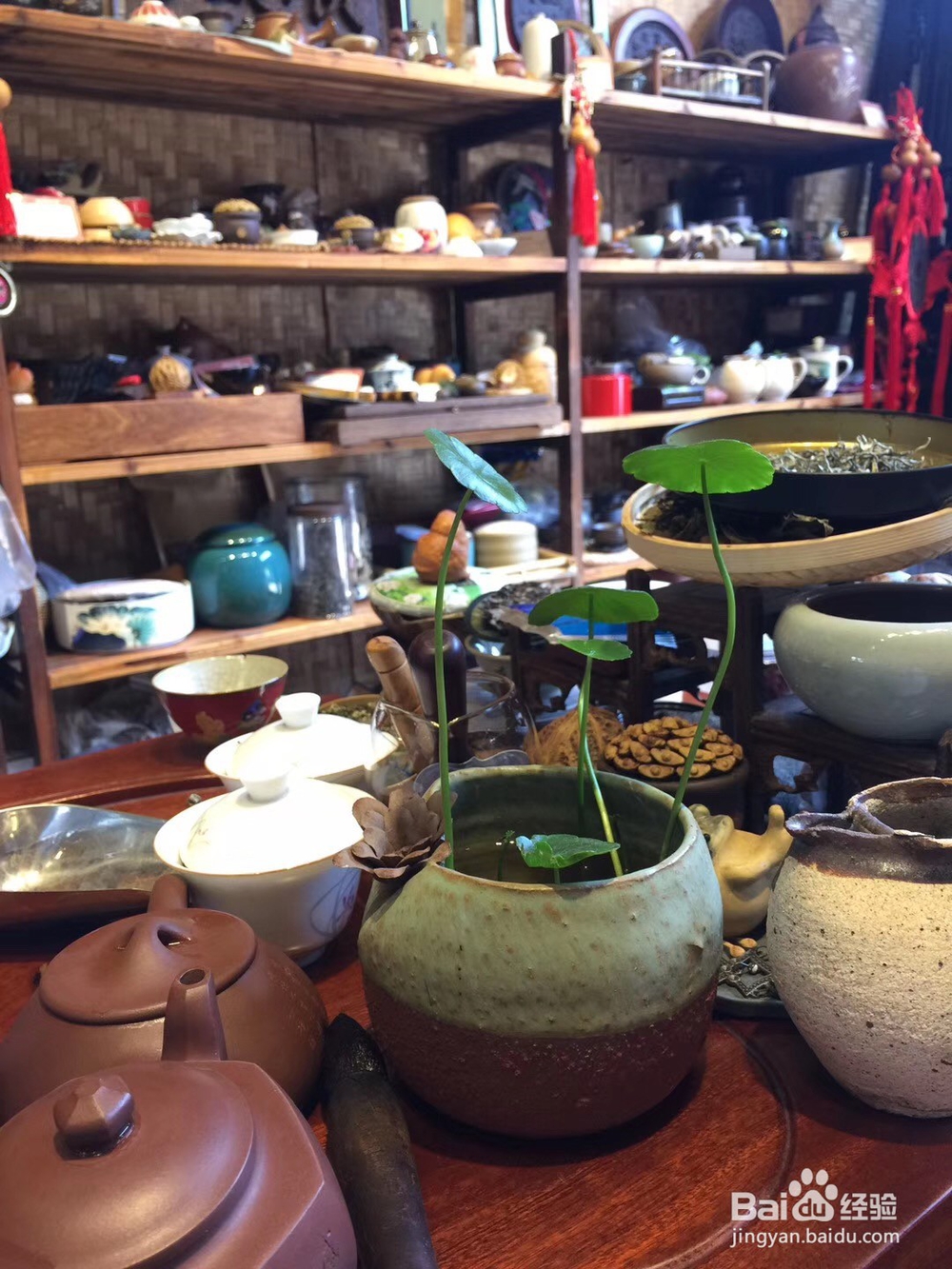 生活不能没有茶