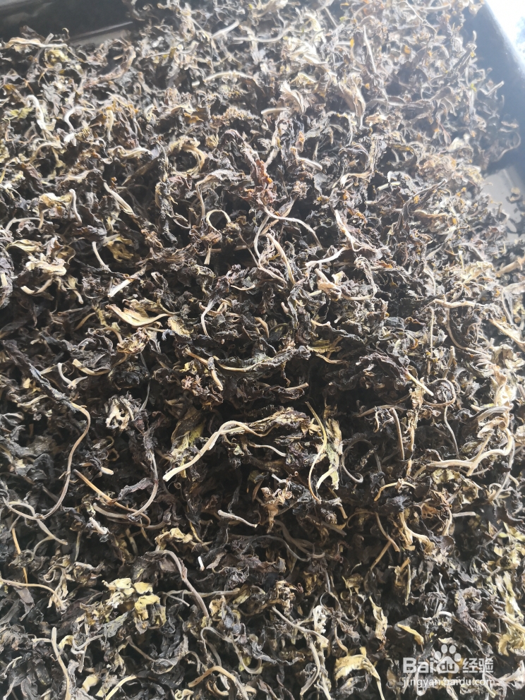 简单无压力做香椿