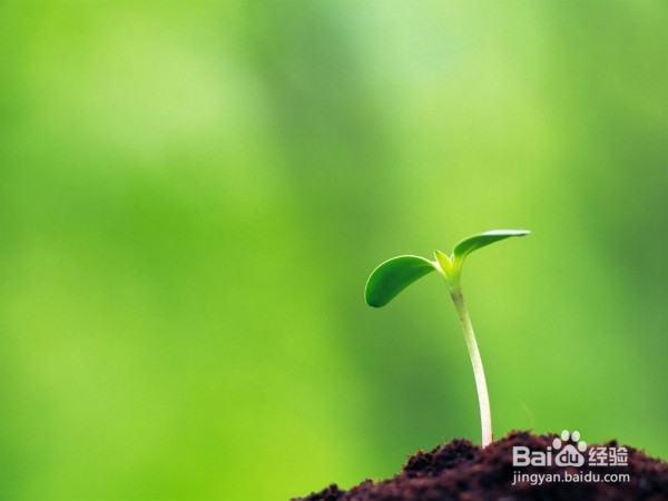 父母应当告诉小孩子哪些需要注意安全的地方