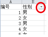 Excel常用技巧：[6]如何启用筛选功能