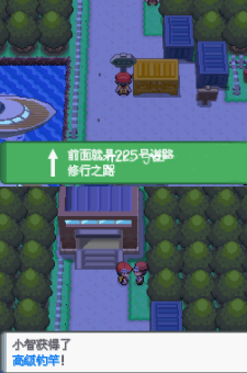 口袋妖怪钻石二周目图文攻略