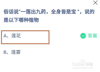 蚂蚁庄园2024.9.24：一莲出九药，全身皆是宝