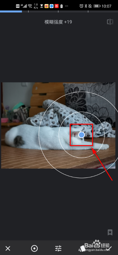snapseed软件 照片如何设置镜头模糊
