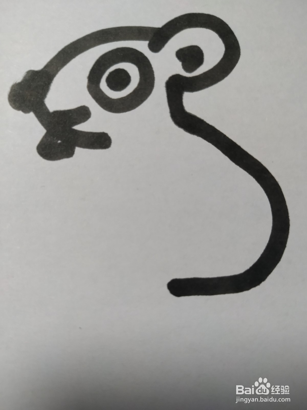老鼠的简笔画技法42