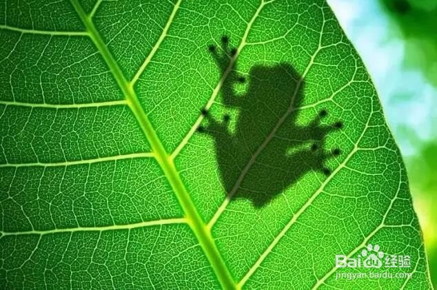 5个摄影小技巧，拍出碾压朋友圈的风光照！