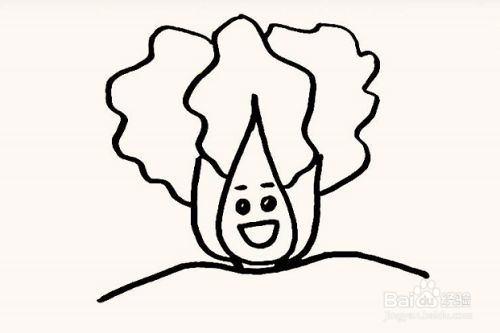 白菜的简笔画教程