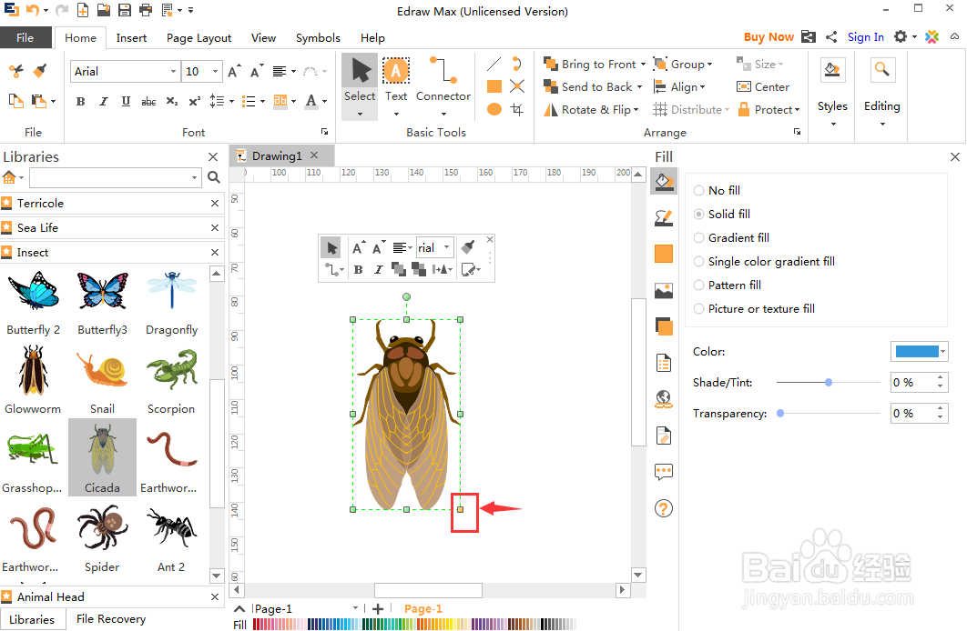 平面设计时创建知了的方法