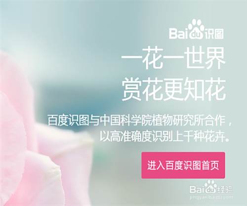 ä»¥å›¾æœå›¾ ç™¾åº¦è¯†å›¾æ€Žä¹ˆç