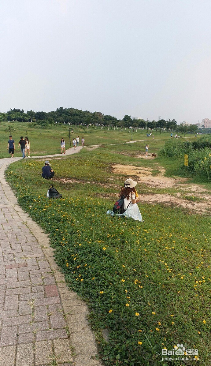 节假日或者周末广州有哪些好去处呢