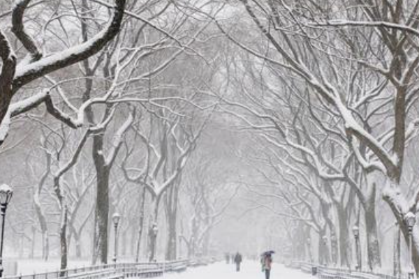 形容雪的诗句有哪些