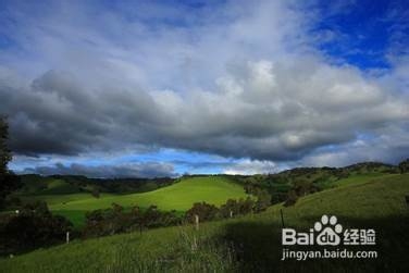 学院街攻略：[57]阿德雷德大学娱乐攻略