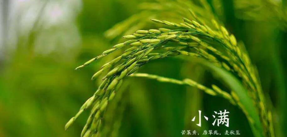 有关农谚气象的谚语