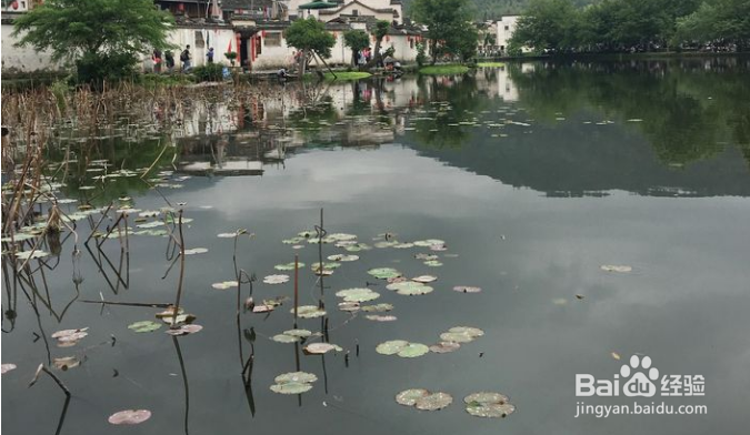 游黄山攻略三日游