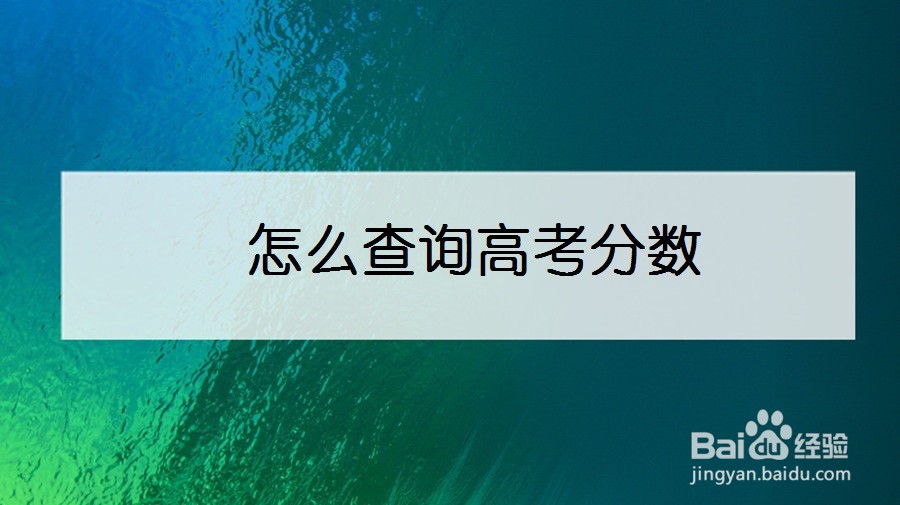 怎么查询高考分数