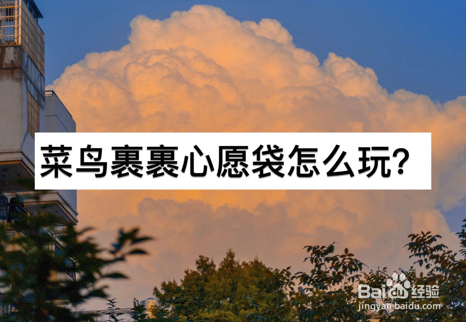 菜鸟裹裹心愿袋怎么玩