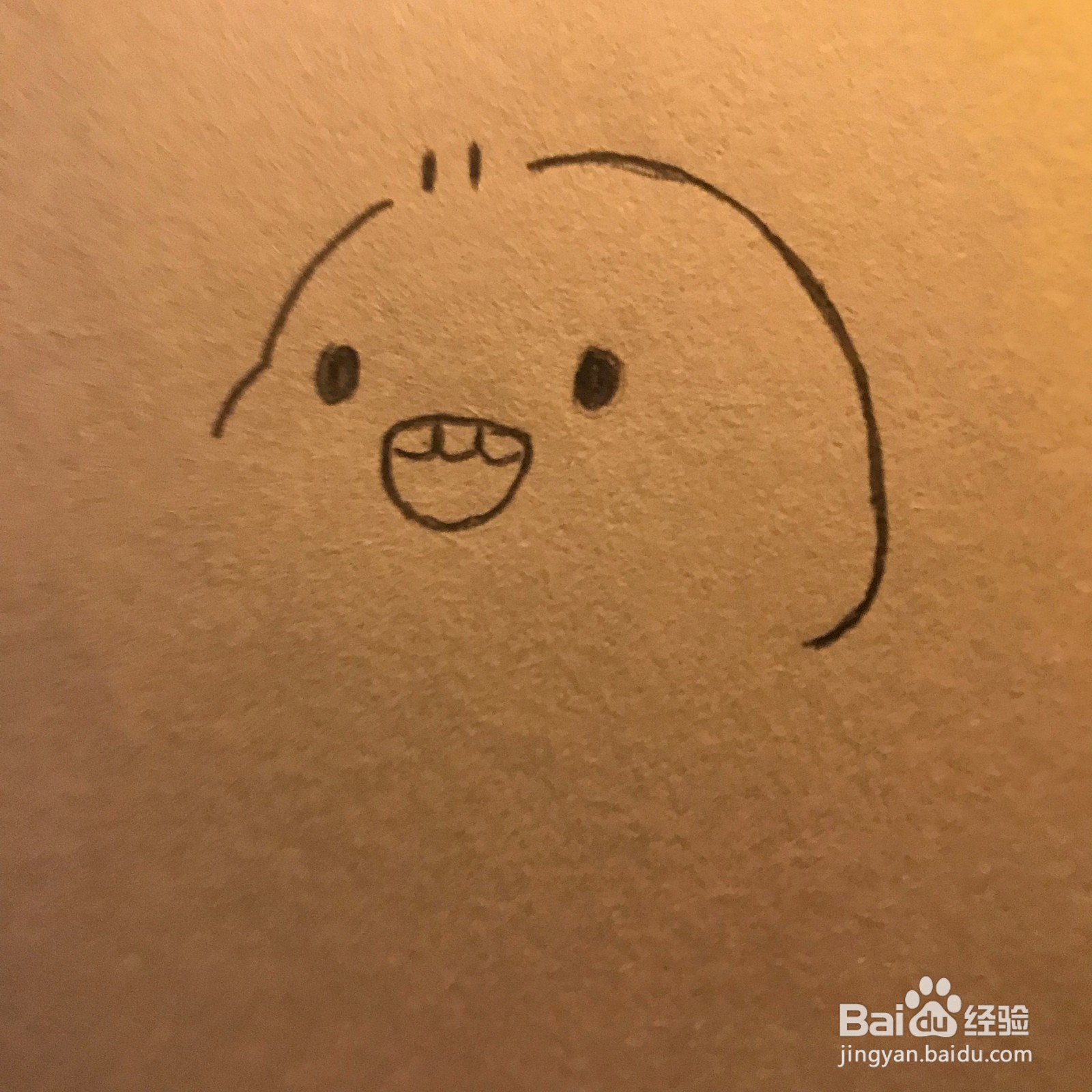 【简笔画教程】胖胖的小鲨鱼