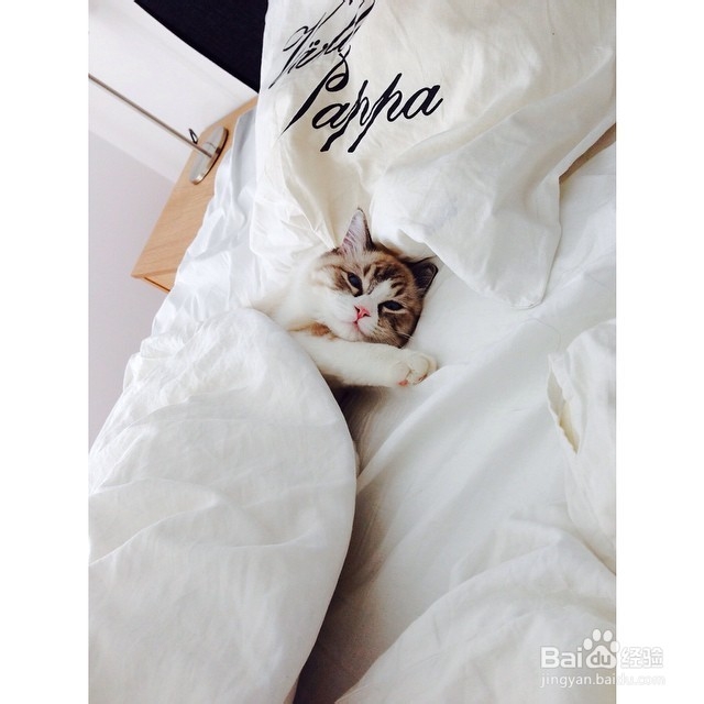 Show you how to Be Nice to a Girl