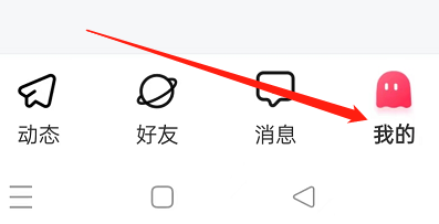 皮皮APP怎样设置个人信息浏览与导出