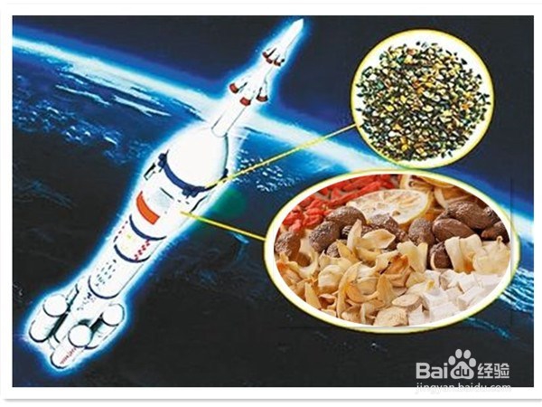 中药材种子选种育种的方法