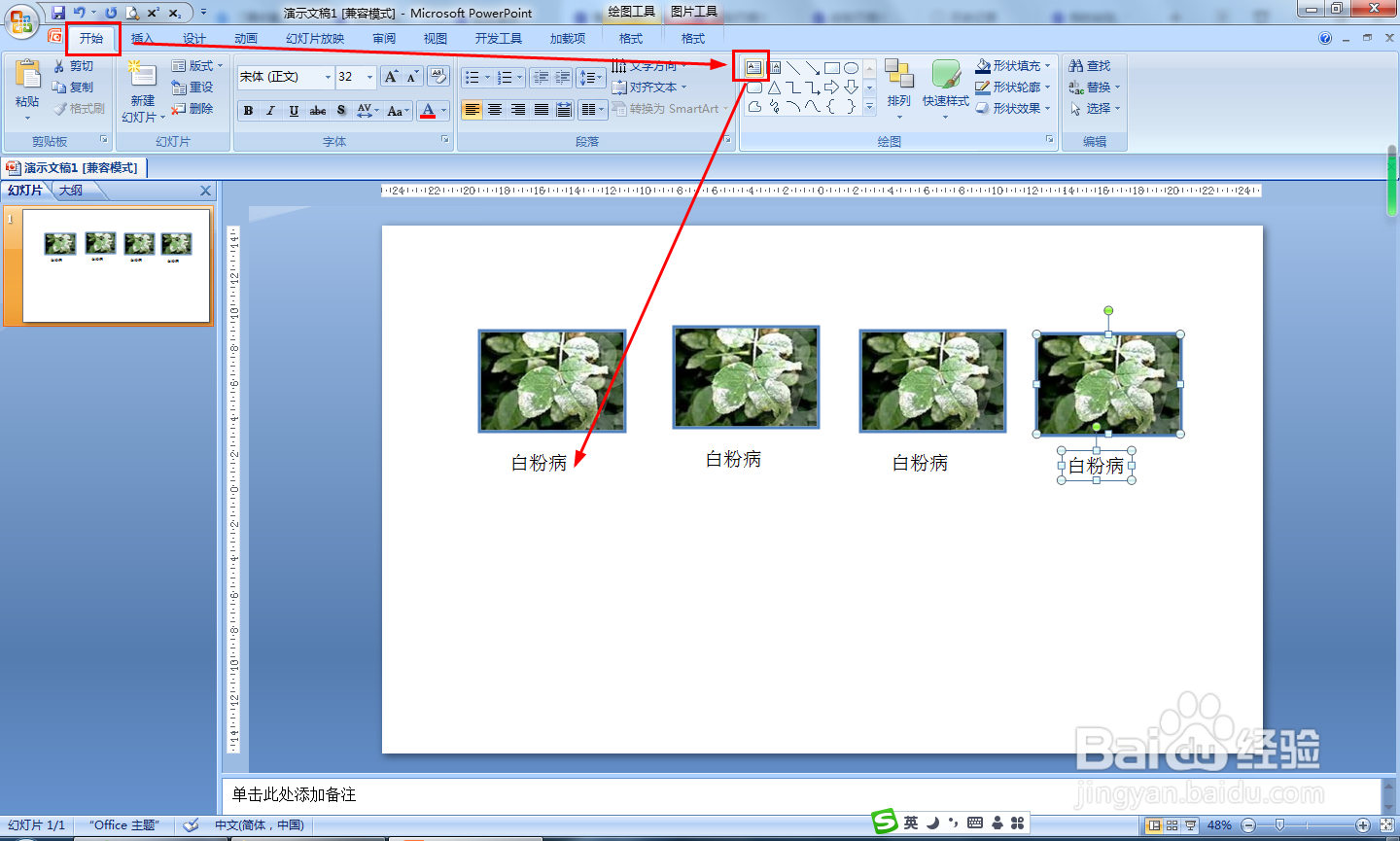 月季病虫害识别图解