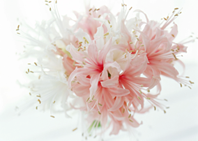 PS--使用抠图工具把花朵贴到白色婚纱上