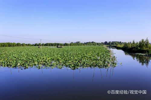 濟寧鹿鳴島景區怎麼收費