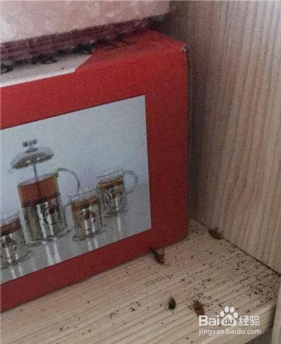 家里很干净为什么有蟑螂