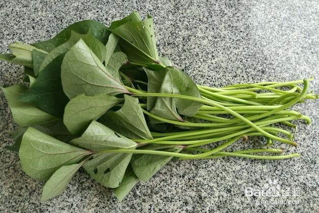 简单易学的炒番薯藤的家常做法