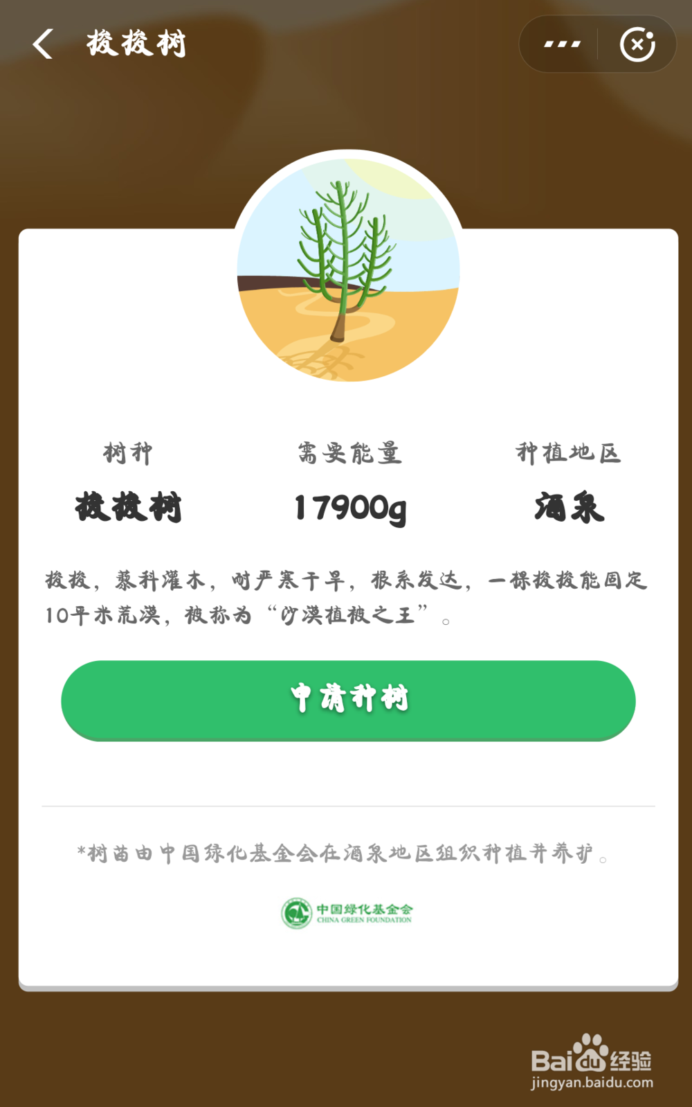 蚂蚁森林怎样种树