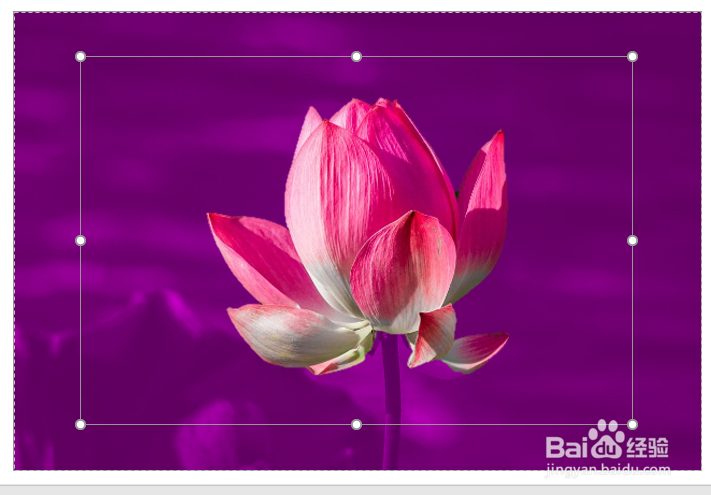 怎样使用PPT抠图