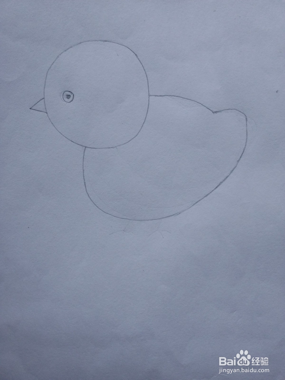 简笔画——怎么画小鸡