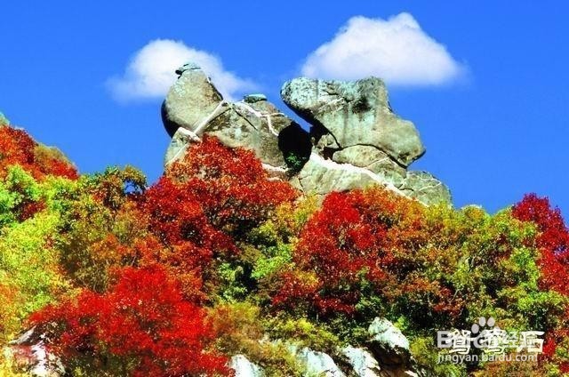 五岳寨风景区游玩攻略