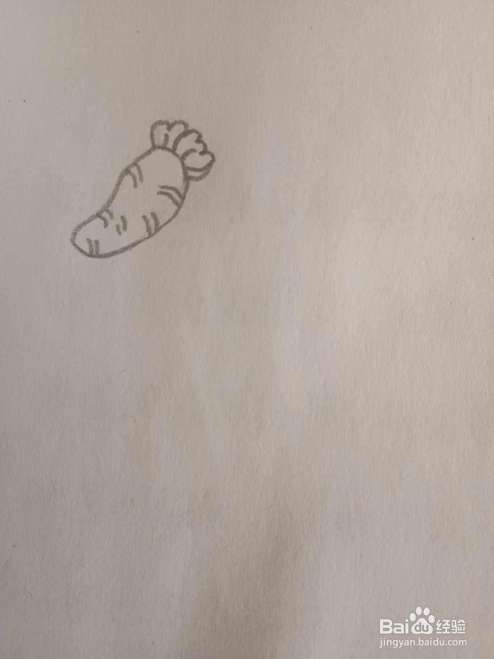 教你画简笔画胡萝卜