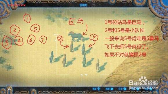 塞尔达驯马技巧