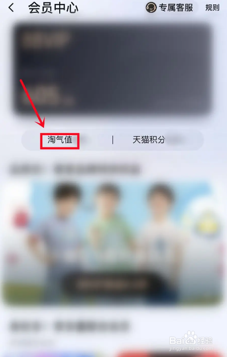 手机淘宝APP如何查看淘气值