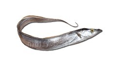 中医盘点11种最常见的一定要吃的抗癌食物