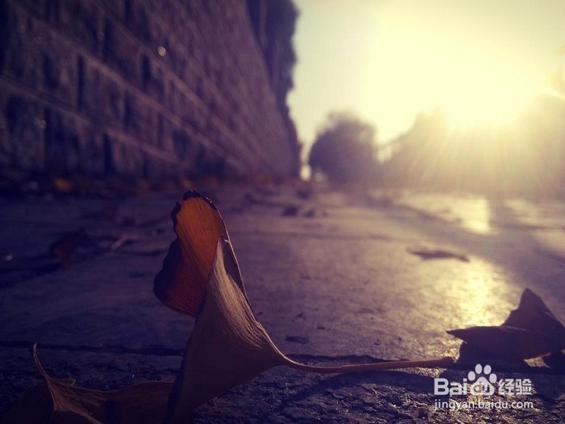 怎样过有意义的大学生活