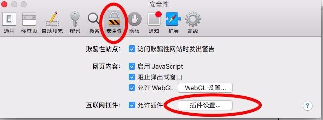 苹果系统上的safari浏览器设置允许flashplayer