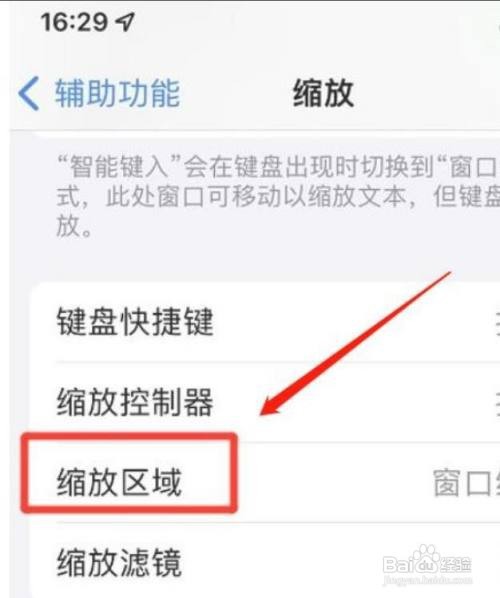 苹果11Pro手机在哪里设置全屏幕缩放