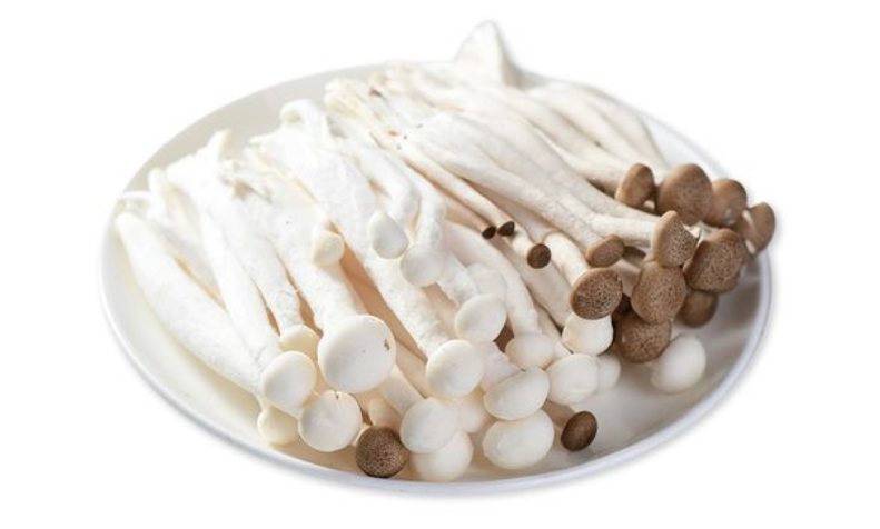 哪几种菌菇不能放一起煮