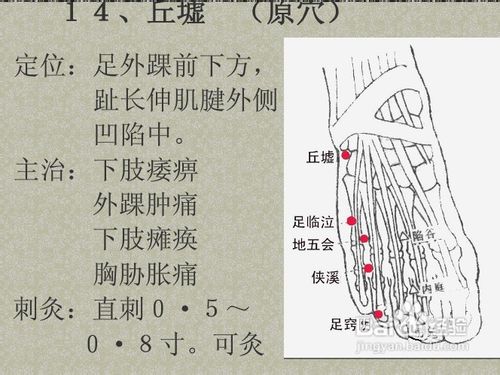 中医经络知识之足少阳胆经图解